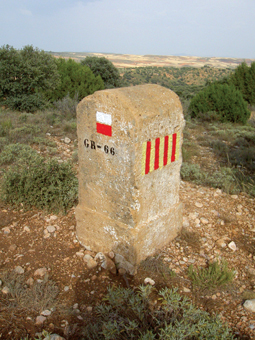 Entre Aragón y Castilla